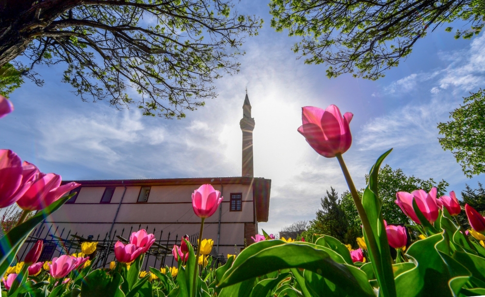 Altındağ lalelerle donatıldı 5