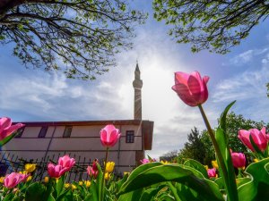 Altındağ lalelerle donatıldı