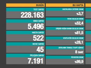 Gün gün koronavirüs tablosu: Toplam vaka sayıları 10 ağustos 2021