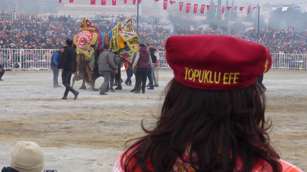 Aydın'da yılın son deve güreşi binlerce kişi tarafından izlendi 4