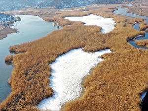 Ağrı Dağı Milli Parkı'ndaki sulak alanlar kısmen dondu