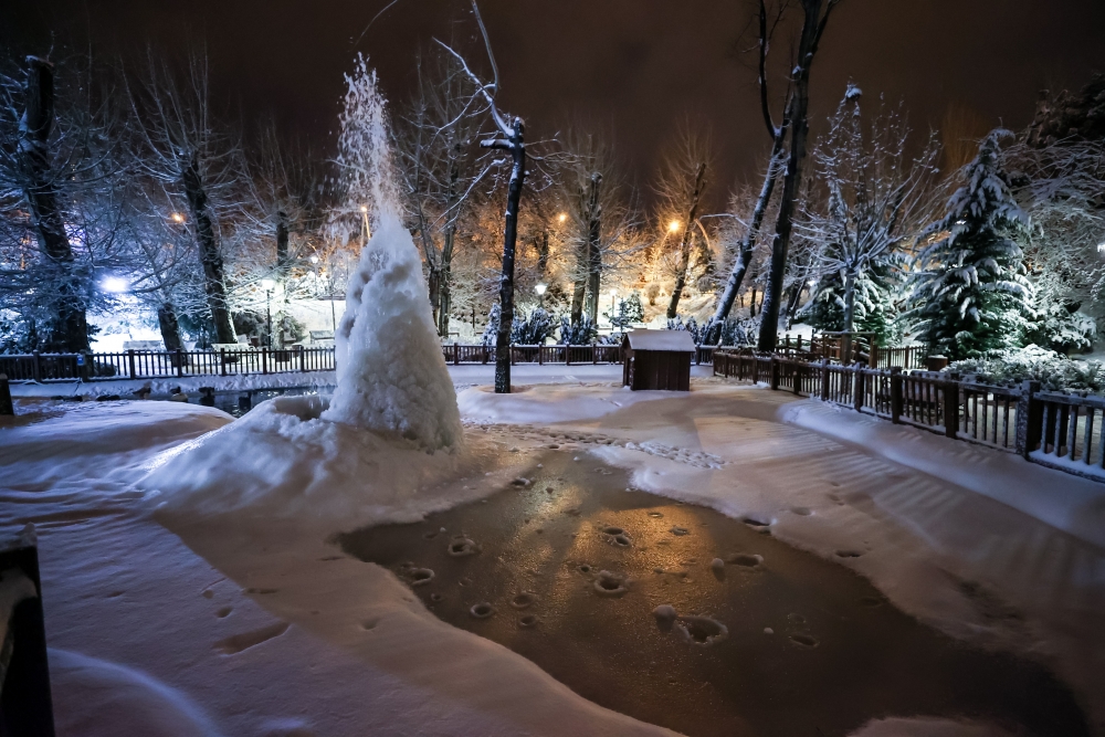 Ankara'nın simgelerinden Kuğulu Park beyaza büründü 6