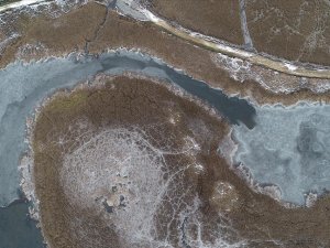 Kırklareli'nde longoz ormanlarındaki göller buz tuttu