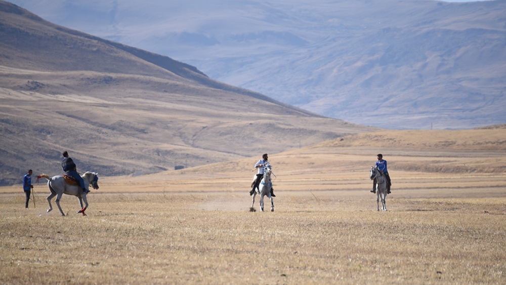 Kars'ta havaların serinlemesiyle cirit atları dörtnala sahaya sürüldü 3