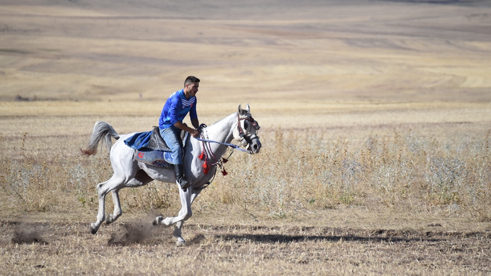 Kars'ta havaların serinlemesiyle cirit atları dörtnala sahaya sürüldü 4