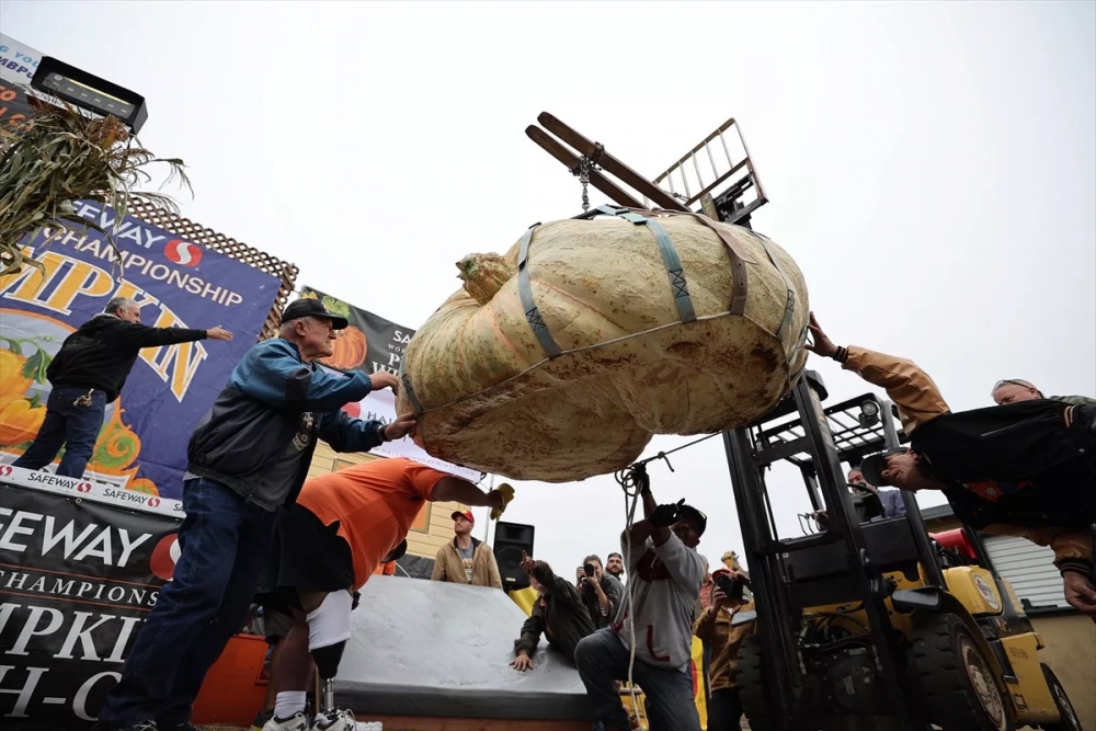 1 ton 161 kilo bal kabağı yetiştirerek rekor kırdı 2