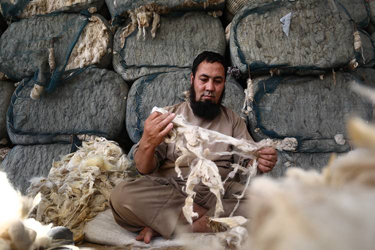 Geleneksel Afgan halısı, Türkiye'den dünya pazarına ulaşıyor 2