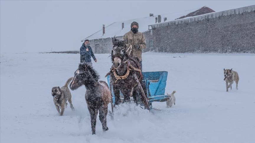 Doğu Anadolu'da soğuk hava ve kar etkili oluyor 1