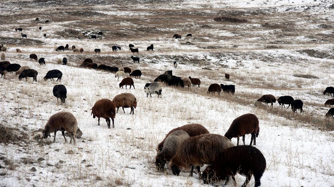 Doğu Anadolu'da soğuk hava ve kar etkili oluyor 6