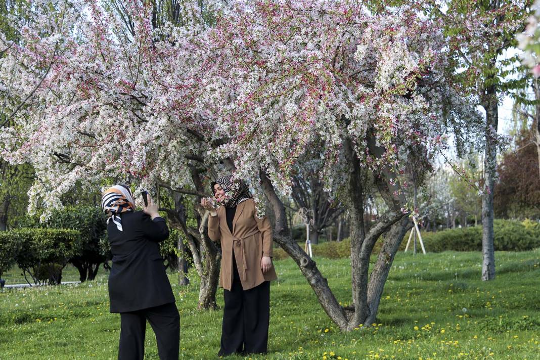 Ankara'da ilkbahar renkleri 1