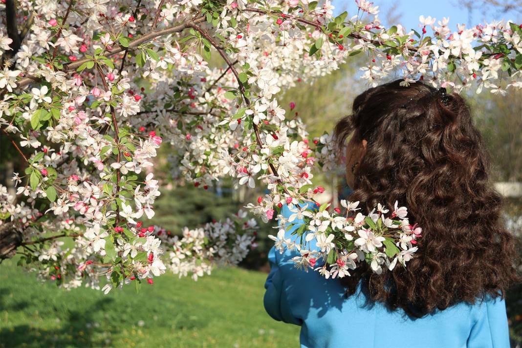 Ankara'da ilkbahar renkleri 9