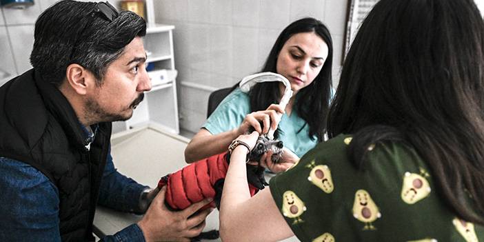 Ankara Hayvan Hastanesi'nden tedavi fotoğrafları 18