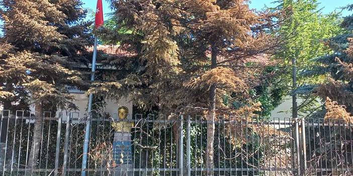 Beynam Atatürk Evi: Ulu Önder'in izinde Milli Mücadele'nin hatıraları 4
