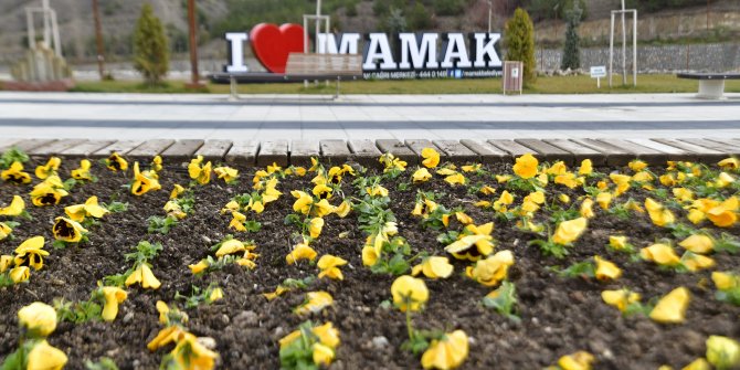 Mamak'ta kışın da çiçeklendirme çalışmaları devam ediyor