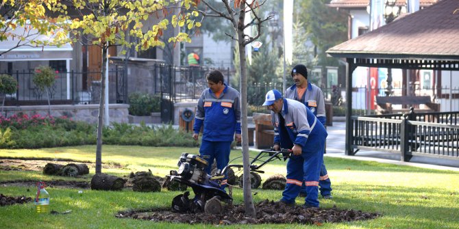 Altındağ Belediyesi Hamamönü’ne 500 bin lale dikimi gerçekleştirdi