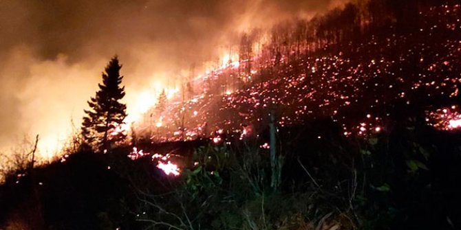 Karadeniz'de alevler söndü, zarar ortaya çıktı