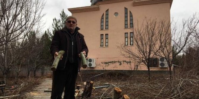 Cemaate kızdı ağaçları kesti