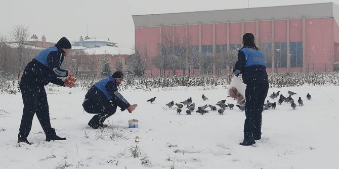 Etimesgut'ta sokak hayvanlarına mama yardımı