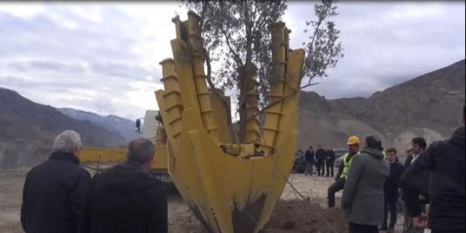 Sular altında kalacak Yusufeli'nden ağaçlar taşınıyor