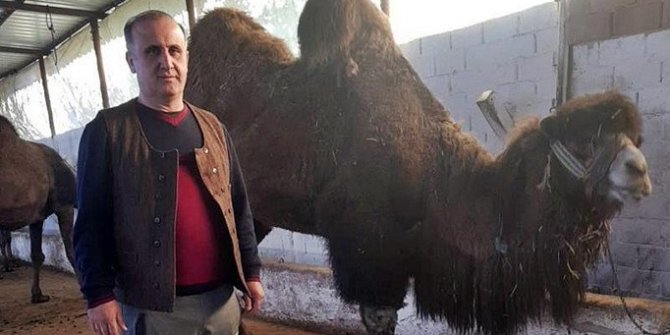 "Avustralya'daki develere talibim"