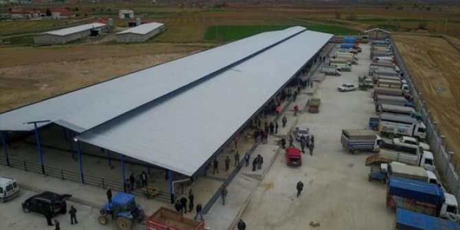Denizli'de şap alarmı