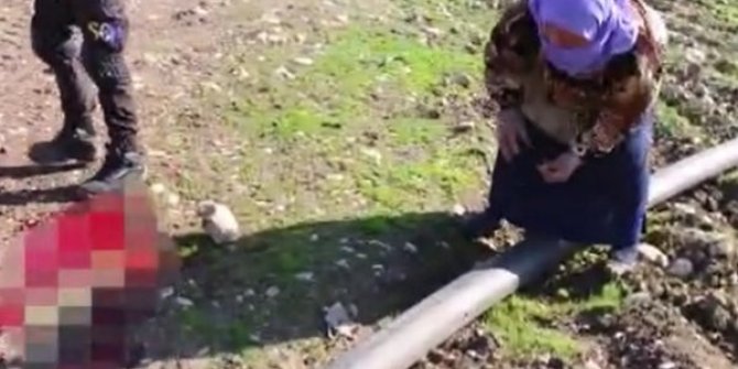 Halep'te ölen oğlunun parçalarını toplayan anne