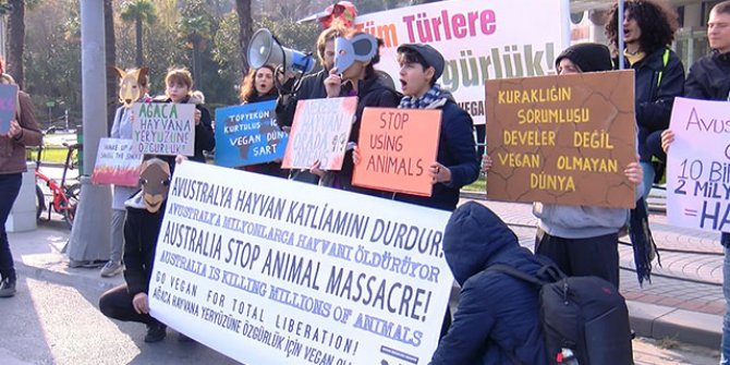 Avustralya Başkonsolosluğu önünde "Deve" eylemi