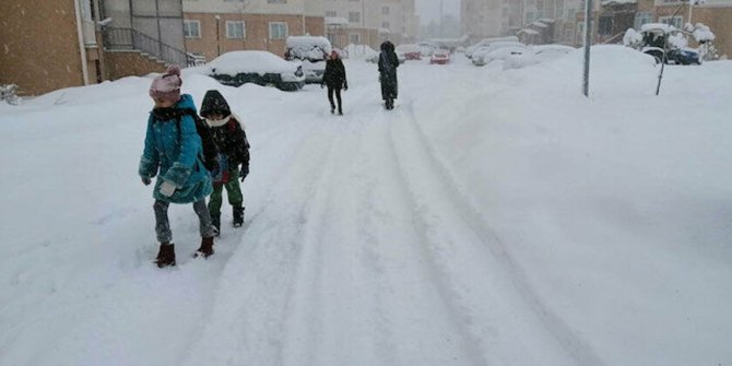 Van, Karlıova, Ağrı ve Ovacık'ta okullar tatil edildi