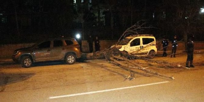 Ankara'da fırtına: Ağaçlar devrildi, çatılar uçtu