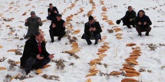 'Afet bela gitsin' diye doğaya 2001 tane ekmek bıraktılar