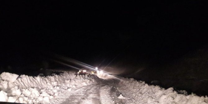 Siirt'te 30 köy yolu, kar nedeniyle kapandı