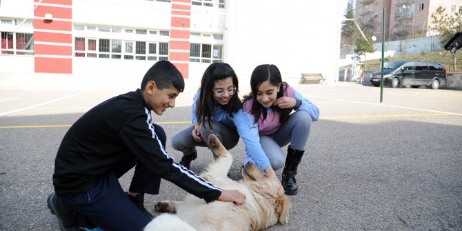 Altındağ'da "Her Okula 1 Köpek" projesi öğrencileri mutlu etti