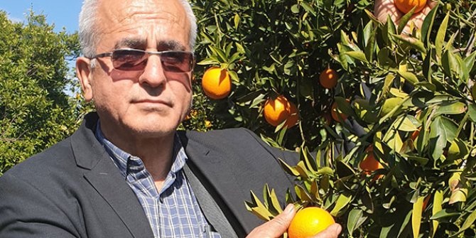 Sahte tüccardan çiftçilere milyonluk vurgun