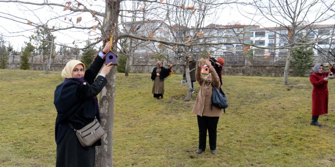 Altındağlı kursiyerlerin yaptığı kuş evleri Altınköy'e yerleştirildi