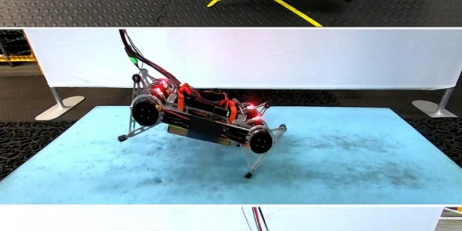 Araştırmacılar, kendi kendine yürümeyi öğrenen robot üretti
