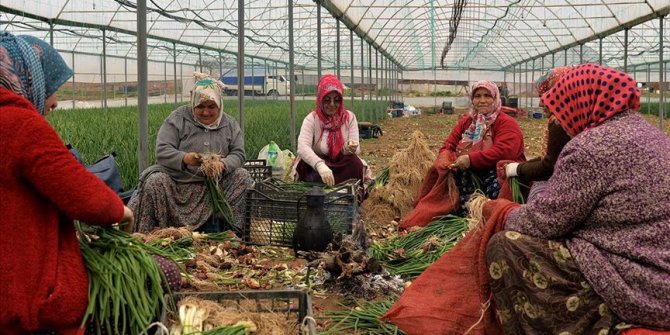 Kadın çiftçiler hem evde hem tarlada mesaide