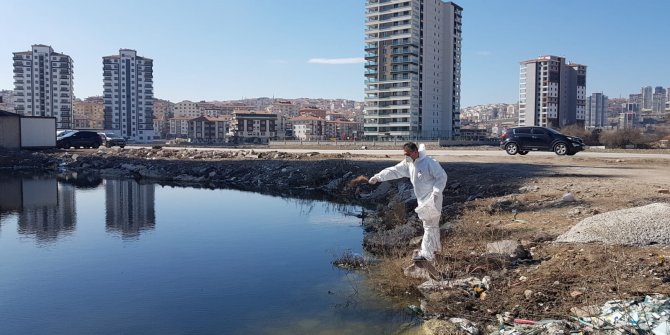 Keçiören'de sinek ve haşerelere karşı ilaçlama çalışmaları başladı