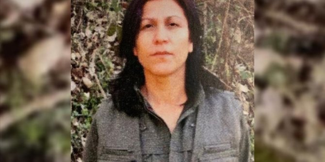 PKK'nın kadın yapılanmasının sözde üst düzey sorumlularından Halide Tarı etkisiz hale getirildi