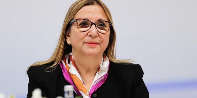 Ticaret Bakanı Pekcan: 6 bin 448 firma ve 13 bin 280 ürünü denetledik