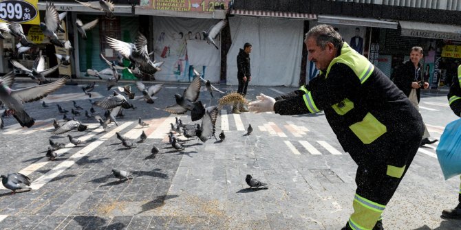 Altındağ'da sokak hayvanları unutulmuyor