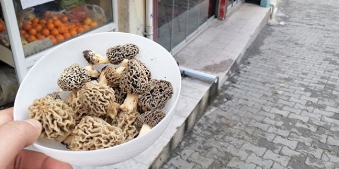Kilosu 130 lira olan kuzugöbeği, tezgahta yarım saatte tükeniyor