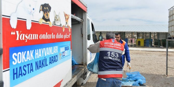 Büyükşehir'in mama desteği sürüyor