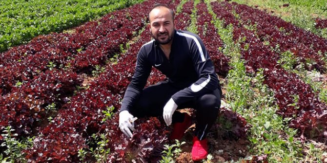 KKTC’de çiftçiden halka bedava sebze jesti