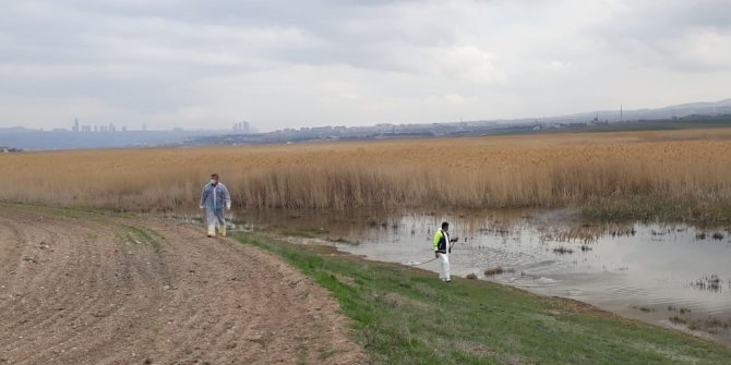 Gölbaşı Belediyesi larvaların olabileceği noktaları ilaçladı