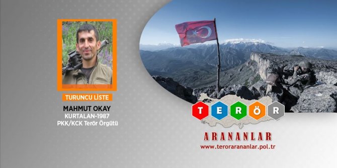 1 milyon TL ödülle aranan terörist yakalandı