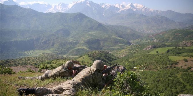Şırnak'ta 2 terörist etkisiz hale getirildi