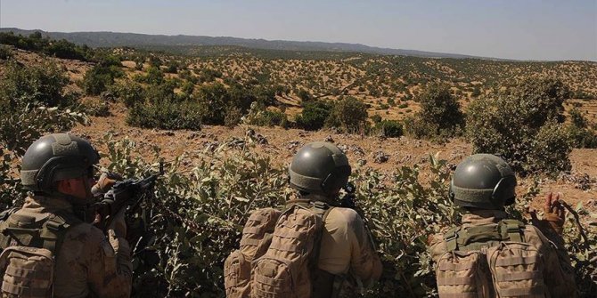 Jandarma ekiplerinin ikna ettiği PKK'lı terörist teslim oldu