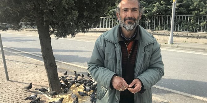 Kuşlar yolunu gözlüyor
