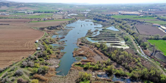 Büyükşehir Belediyesi'nden parazitlerle mücadele