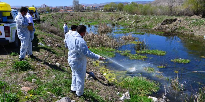 Kahramankazan’da kötü koku ve haşerelere savaş açıldı